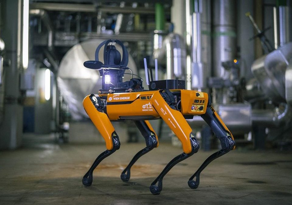 DANAS ROBOT PAS, A ZA 100 GODINA?